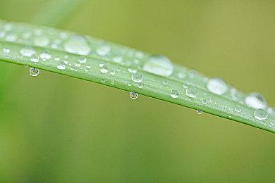 《风雨来记4》公布DLC内容 增加岐阜县周边地区